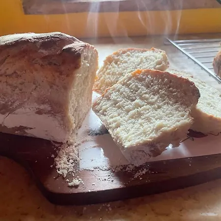 Pansiyon Siedlisko Pod Jaworem