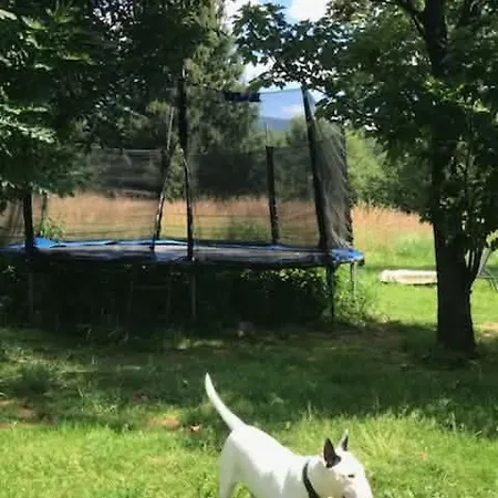 Siedlisko Pod Jaworem Domaszkow